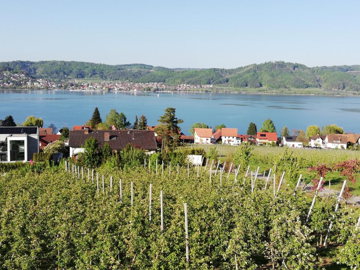 Fewo Segelwind Bodman-Ludwigshafen Exterior foto